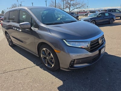 2024 Honda Odyssey Elite