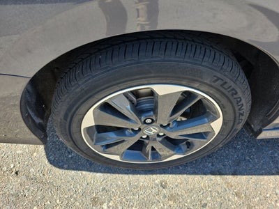 2024 Honda Odyssey Elite