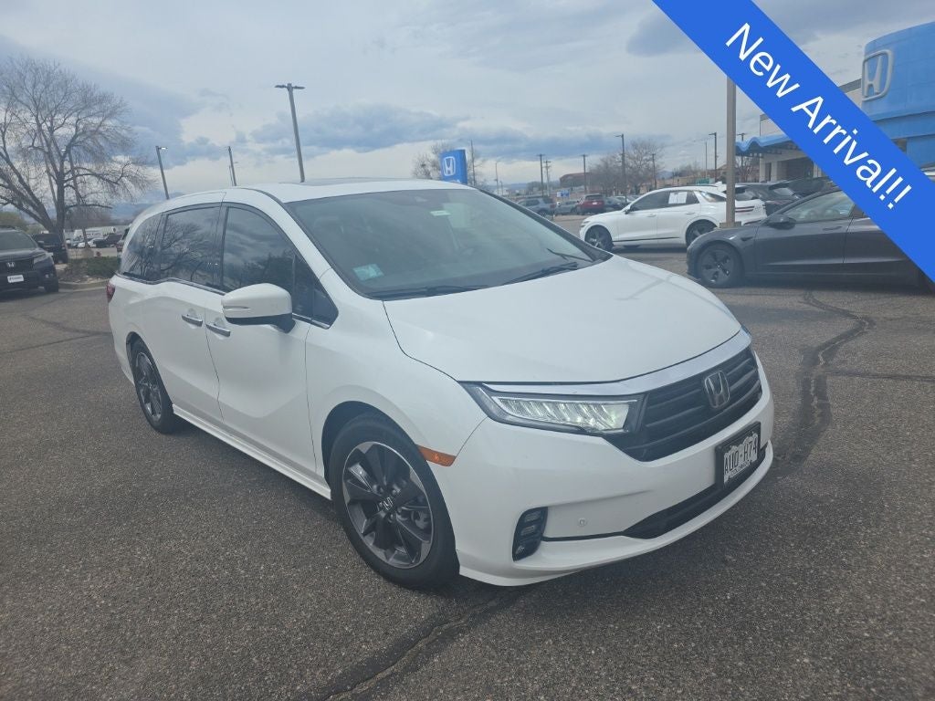 2023 Honda Odyssey Elite