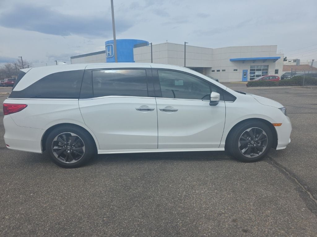 2023 Honda Odyssey Elite